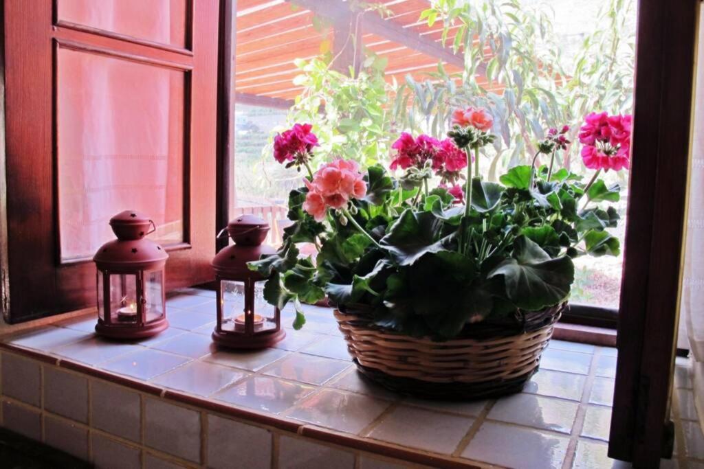 Casa Rural La Pitanga แอร์มิกวา ภายนอก รูปภาพ