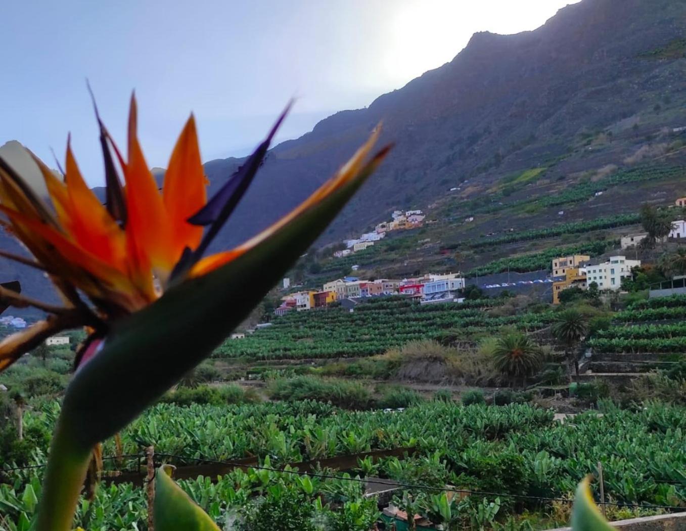 Casa Rural La Pitanga แอร์มิกวา ภายนอก รูปภาพ