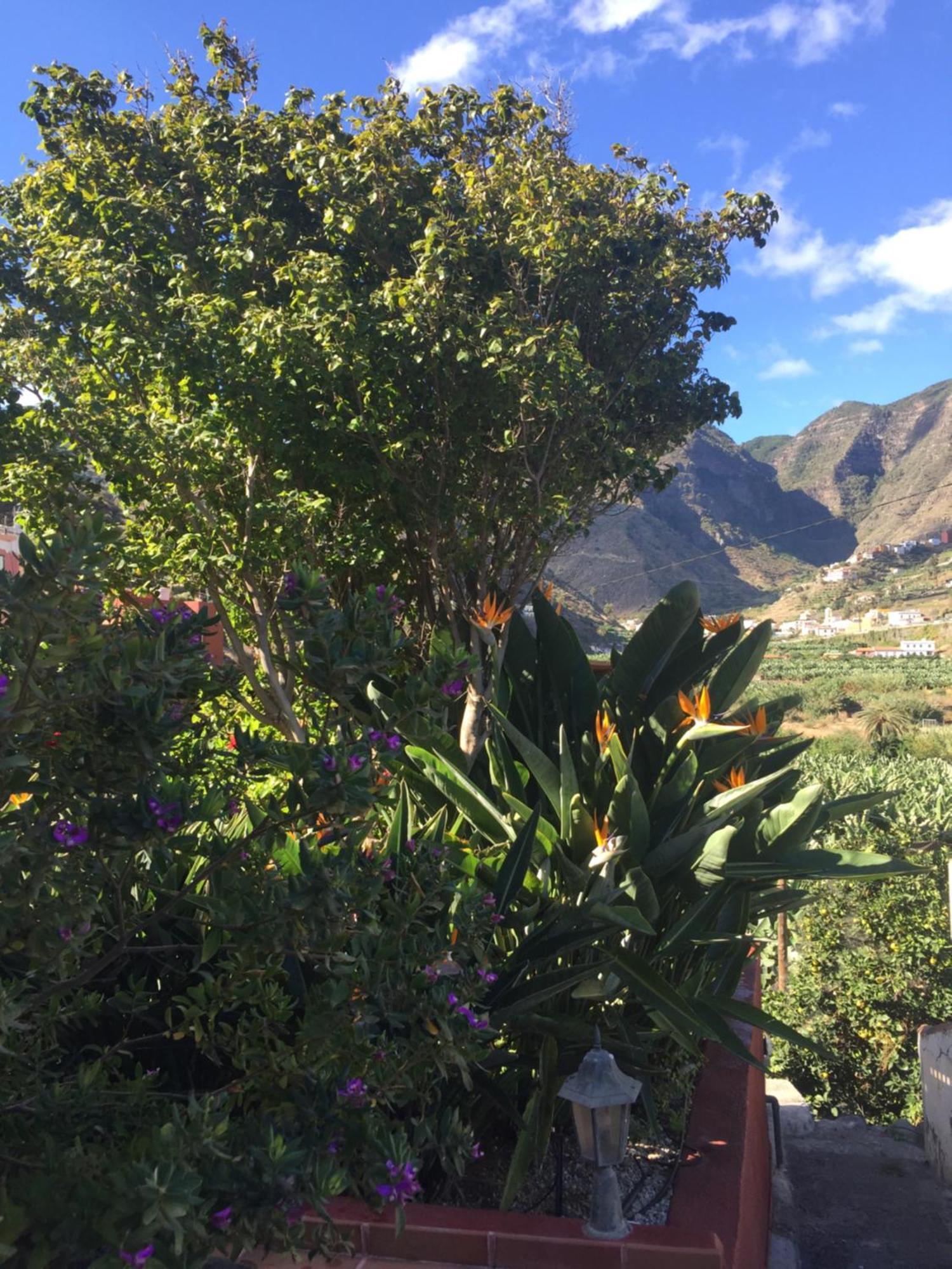 Casa Rural La Pitanga แอร์มิกวา ภายนอก รูปภาพ